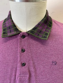SCOTCH & SODA, Purple, Olive Green, Black, Cotton, Solid, Plaid, Pique, Plaid Rib Knit Collar Attached, Short Sleeves, 3 Button Placket