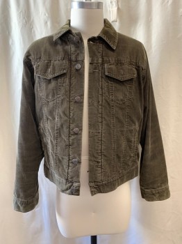 Mens, Casual Jacket, GAP, Dk Olive Grn, Cotton, M, Corduroy, Collar Attached, Button Front, Long Sleeves