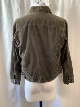 Mens, Casual Jacket, GAP, Dk Olive Grn, Cotton, M, Corduroy, Collar Attached, Button Front, Long Sleeves