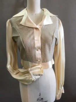 Womens, Blouse, LAFFIN LASS, Champagne, Silver, Silk, Polyester, W24, B34, Champagne Silk Collar/Lapel/Waistband/Sleeves, Silver Body, Button Front, Collar Attached, Notched Lapel, Long Sleeves, Gathered At Cuff, Short-waisted