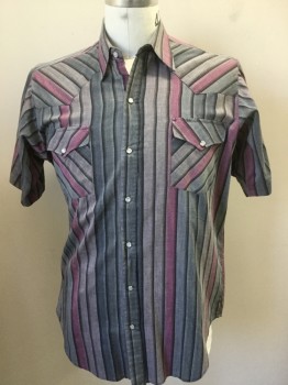 ROCK CREEK RANCH, Gray, Lt Brown, Pink, Black, Cotton, Stripes - Vertical , Stripes - Diagonal , Gray, Light Brown, Pink and Black Vertical & Diagonal Shadow Stripes, Collar Attached, Yoke, 2 Pockets with Flap, Pearly Gray Button with Silver Trim Snap Front, Short Sleeves,