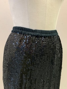 EXCLUSIVE , Black, Silk, Rayon, Solid, Sequin Covered, Elastic Waist, Knee Length