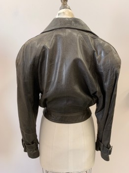 Womens, Leather Jacket, ANDREW MARC, Dk Brown, Leather, Reptile/Snakeskin, W26, B36, C.A., Notched Lapel, 2 Pckts, Belted Waist And Cuffs