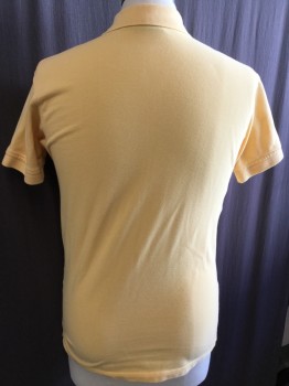 BLUE GENERATION, Yellow, Cotton, Solid, Warm Yellow, Collar Attached, 3 Button Front, Short Sleeves,