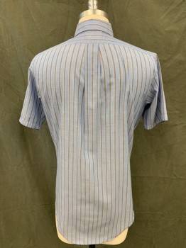 CAMPUS, Lt Blue, Yellow, Blue, Polyester, Cotton, Stripes, Button Front, Collar Attached, Button Down Collar, Short Sleeves, 1 Pocket, Multiple