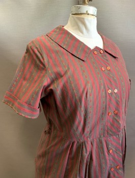 N/L, Dk Red, Dk Brown, Cotton, Stripes - Vertical , Floral, Short Sleeves with Cuffed Arm Openings, Shirtwaist with 2 Columns of Buttons in Front, Collar Attached, Triple Pleats at Either Side of Waist, Knee Length,
