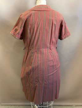 N/L, Dk Red, Dk Brown, Cotton, Stripes - Vertical , Floral, Short Sleeves with Cuffed Arm Openings, Shirtwaist with 2 Columns of Buttons in Front, Collar Attached, Triple Pleats at Either Side of Waist, Knee Length,