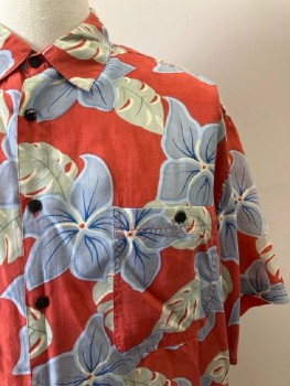 Mens, Shirt, MONTAGE TROPICAL, L, Red/ Multi-color, Floral, C.A., B.F., S/S,