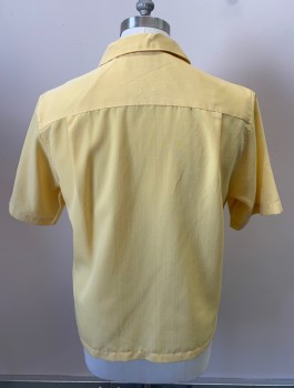 VIA EUROPA, Yellow, Polyester, Solid, S/S, Button Front, Self Satin Plaid, Pearl Buttons