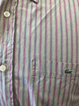 LACOSTE, Beige with Hot Pink/Light Blue/Kelly Group Stripe, Btn Down Collar, B.F., L/S, 1 Pckt,