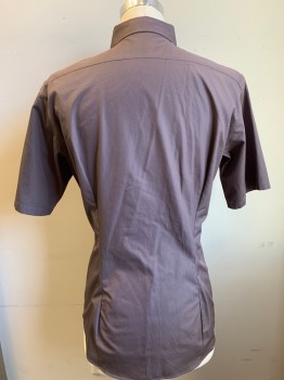 Mens, Casual Shirt, JILL SANDER, Putty/Khaki Gray, Polyester, Cotton, Solid, 16.5, S/S, Button Front, Collar Attached