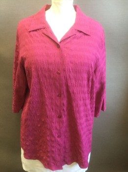 WHITE STAG, Fuchsia Pink, Polyester, Rayon, Stripes - Horizontal , Self Crinkled Stripe, 3/4 Sleeves, Button Front, Collar Attached, Tunic Length