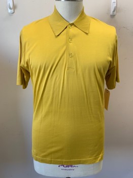 PAOLO VALENZI, Mustard Yellow, Cotton, Solid, Short Sleeves,