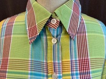 D & G, Mint Green, Teal Blue, Dk Red, Yellow, White, Cotton, Plaid, Collar Attached, Button Front, Long Sleeves, Curved Hem