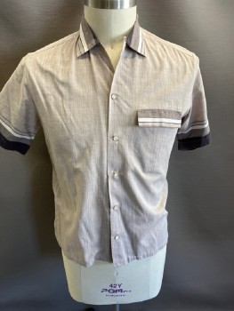 Mens, Shirt, MALER OF CALIFORNIA', Lt Brown, Cotton, Heathered, M, C.A., Black/Brown/white Stripes At Collar, S/S, Slvs And Flip Pocket  Iridescent And Gold Trim  B.F. CB  Pleats