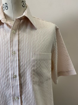 NO LABEL, Off White, Red, Polyester, Cotton, Stripes - Vertical , S/S, Button Front, Collar Attached, Chest Pocket