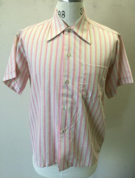 DONLIN, Peach Orange, White, Pink, Poly/Cotton, Stripes - Vertical , Self Diamond Texture Crepe, Short Sleeve Button Front, Collar Attached, 1 Patch Pocket,