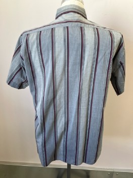 PIERRE CARDIN, 2 Tone Gray with Black/Maroon Group Vertical Stripe, C.A., B.F., Cuffed S/S, 2 Pckt,