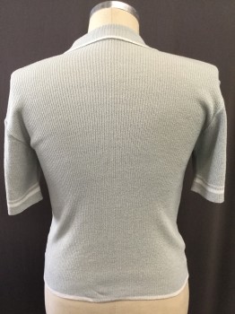 Mens, Polo Shirt, NL, Lt Gray, White, Polyester, Solid, Stripes, M, Knit, Pull Over, Collar Attached, White Trim and Stripe,  V-neck, Short Sleeves,