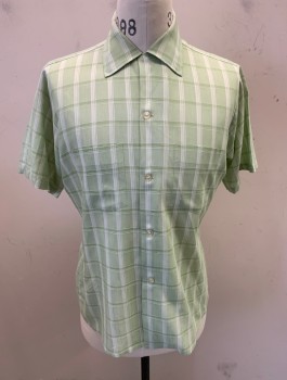 ARROW, Mint Green, White, Polyester, Cotton, Plaid-  Windowpane, S/S, Button Front, 5 Clear Plastic Buttons, 2 Chest Pockets **Small Gray Stain on Back