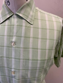 Mens, Shirt, ARROW, Mint Green, White, Polyester, Cotton, Plaid-  Windowpane, M, S/S, Button Front, 5 Clear Plastic Buttons, 2 Chest Pockets **Small Gray Stain on Back