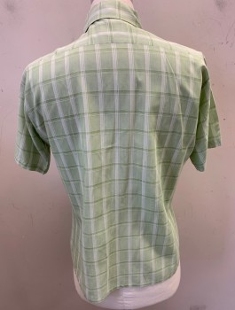 Mens, Shirt, ARROW, Mint Green, White, Polyester, Cotton, Plaid-  Windowpane, M, S/S, Button Front, 5 Clear Plastic Buttons, 2 Chest Pockets **Small Gray Stain on Back
