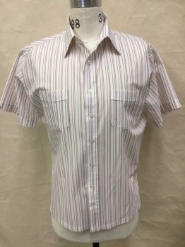 HABAND OF PATERSON, White, Sienna Brown, Polyester, Nylon, Stripes - Pin, Short Sleeve,  Button Front, 2 Pockets, Late 1970's