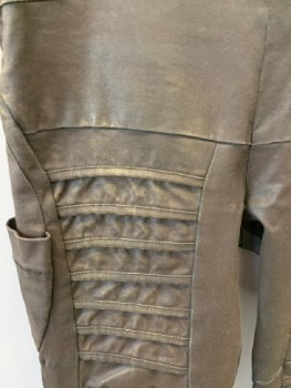 DEMOBAZA, Brown, Antique Gold Metallic, Cotton, Elastane, Solid, Side Zip, Front & Back Flap Pocket with Zipper Closure. Aged Faux Leather Finish, Side Leg Pckt, Piped Strip Detail Front Center Legs, Oval Inlay Detail @ Calfs, Seams Left Side Of Upper Leg/ Back Of Knees/ CuffsCf060008