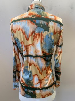 Mens, Shirt, CHESA BOUTIGUE, Peach Orange, Dk Orange, Olive Green, Baby Blue, Polyester, Abstract , M, L/S, Button Front, Collar Attached,