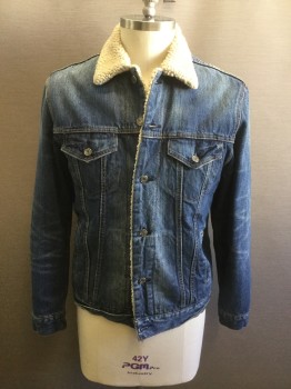 Mens, Jean Jacket, LEVI'S, Denim Blue, Cotton, Solid, L, Button Front, 4 Pockets, Long Sleeves, Off White Fleece Lining/Collar