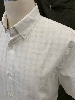 CALIBRATE, White, Lt Gray, Cotton, Grid , White with Lt Gray Faint Grid, Button Front, Button Down Collar, Short Sleeves