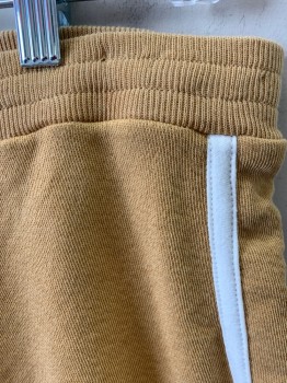 N/L, Tan Brown, Cotton, Solid, Athletic Jogging Shorts, Jersey, White Side Stripe and Trim at Leg Opening, Elastic Waist, Short 2" Inseam, 1970's/1980's,