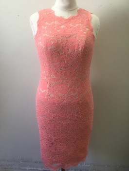 VINCE CAMUTO, Salmon Pink, Nylon, Cotton, Floral, Salmon Floral Lace Over Opaque Beige Underlayer, Sleeveless, Round Neck, Sheer Shoulders/Upper Chest, Knee Length Sheath