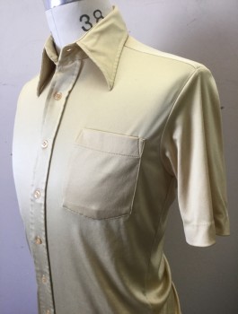 KMART, Gold, Polyester, Solid, Stretchy Material, Short Sleeve Button Front, Collar Attached, 1 Patch Pocket,