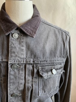 Mens, Jean Jacket, ALL SAINTS, Lt Gray, Cotton, Solid, L, Button Front, Corduroy Collar Attached, 2 Pockets, Front Yoke, Long Sleeves, Button Cuff