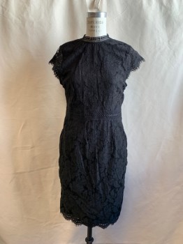 H&M, Black, Polyamide, Cotton, Solid, Lace Over Lining, Lace with Eyelash Trim Cap Sleeve, Crew Neck Lace Trim, Zip Back, Lace Waistband