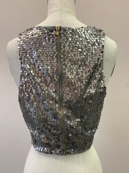 Womens, Top, EXPRESS, Silver, Polyester, Solid, S, Sleeveless, Crew Neck, Sequins, Cropped, Back Zipper