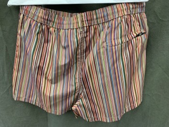 Mens, Swim Trunks, PAUL SMITH, Multi-color, Polyester, Stripes - Vertical , L, Smocked Drawstring Waistband, 3 Pockets, Multiple