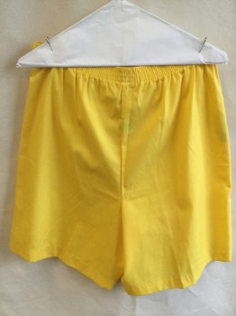 Womens, Shorts, TAKE 1, Yellow, Polyester, Cotton, Solid, M/L, 1" Elastic Waistband, with  Belt Hoops, Short Belt with  2 D-ring Gold Buckle Front Center,