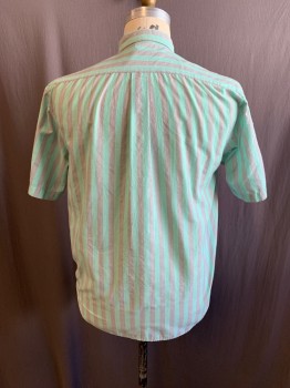 Mens, Shirt, BRITANIA, Mint Green, Gray, Poly/Cotton, Stripes - Vertical , L, C.A., Button Down Collar, Button Front, S/S