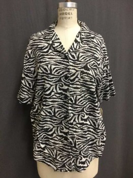 Teddi, White, Black, Brown, Cotton, Rayon, Animal Print, Button Front, Collar Attached,  Short Sleeve