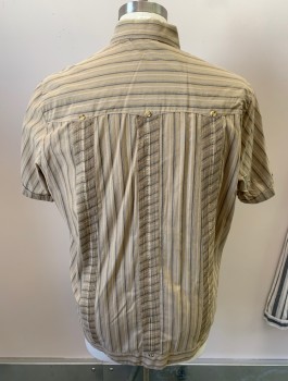 D'ACCORD, Ecru, Gray, Beige, Cotton, Stripes, Guayabera Shirt, S/S, 4 Pockets, Pleated Vertical Stripes, Tan Tortoise Shell Buttons