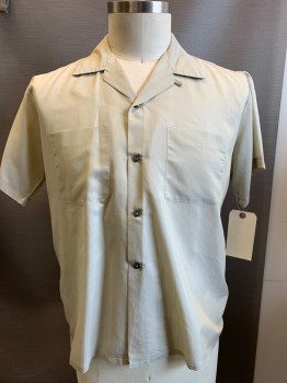 N/L, Sage Green, Polyester, Cotton, Solid, Button Front, Collar Attached, Short Sleeves, 2 Pockets, Small Hole at Lower Backside