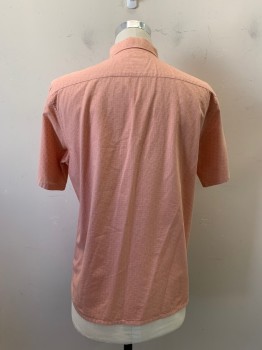 Mens, Casual Shirt, THEORY, Peachy Pink, Red, Cotton, Grid , Squares, M, Button Front, Collar Attached, Short Sleeves, Self Grid with 4 Tiny Squares *Sun Damager of Shoulders*
