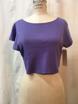 Womens, T-Shirt, FIRST, Lavender Purple, Cotton, Polyester, Solid, B36-38, L, Jersey, Crop Top, Wide Round Neck, Short Sleeves