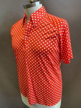 Mens, Casual Shirt, LILY DACHE, Red, White, Polyester, Polka Dots, XL, Short Raglan Sleeves, Collar Attached, 1 Button V Shaped Placket, Clown