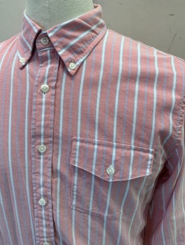 Mens, Casual Shirt, BROOKS BROTHERS, Dusty Red, White, Baby Blue, Cotton, Stripes, M, L/S, Button Front, Button Down Collar, Chest Pocket, Back Pleat with Locker Loop