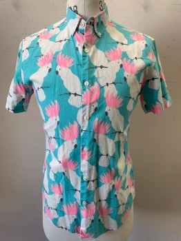 Mens, Casual Shirt, BONOBOS, Aqua Blue, Off White, Hot Pink, Black, Cotton, Birds, Novelty Pattern, S, Cockatoos Repeating Print, S/S, Button Front, Button Down Collar, Slim Fit