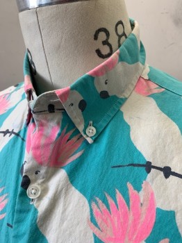 Mens, Casual Shirt, BONOBOS, Aqua Blue, Off White, Hot Pink, Black, Cotton, Birds, Novelty Pattern, S, Cockatoos Repeating Print, S/S, Button Front, Button Down Collar, Slim Fit