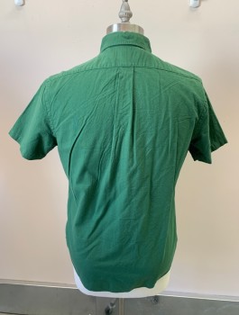 RALPH LAUREN, Moss Green, Cotton, Solid, S/S, Button Front, Chest Pocket, Button Down Collar, Pearl Buttons